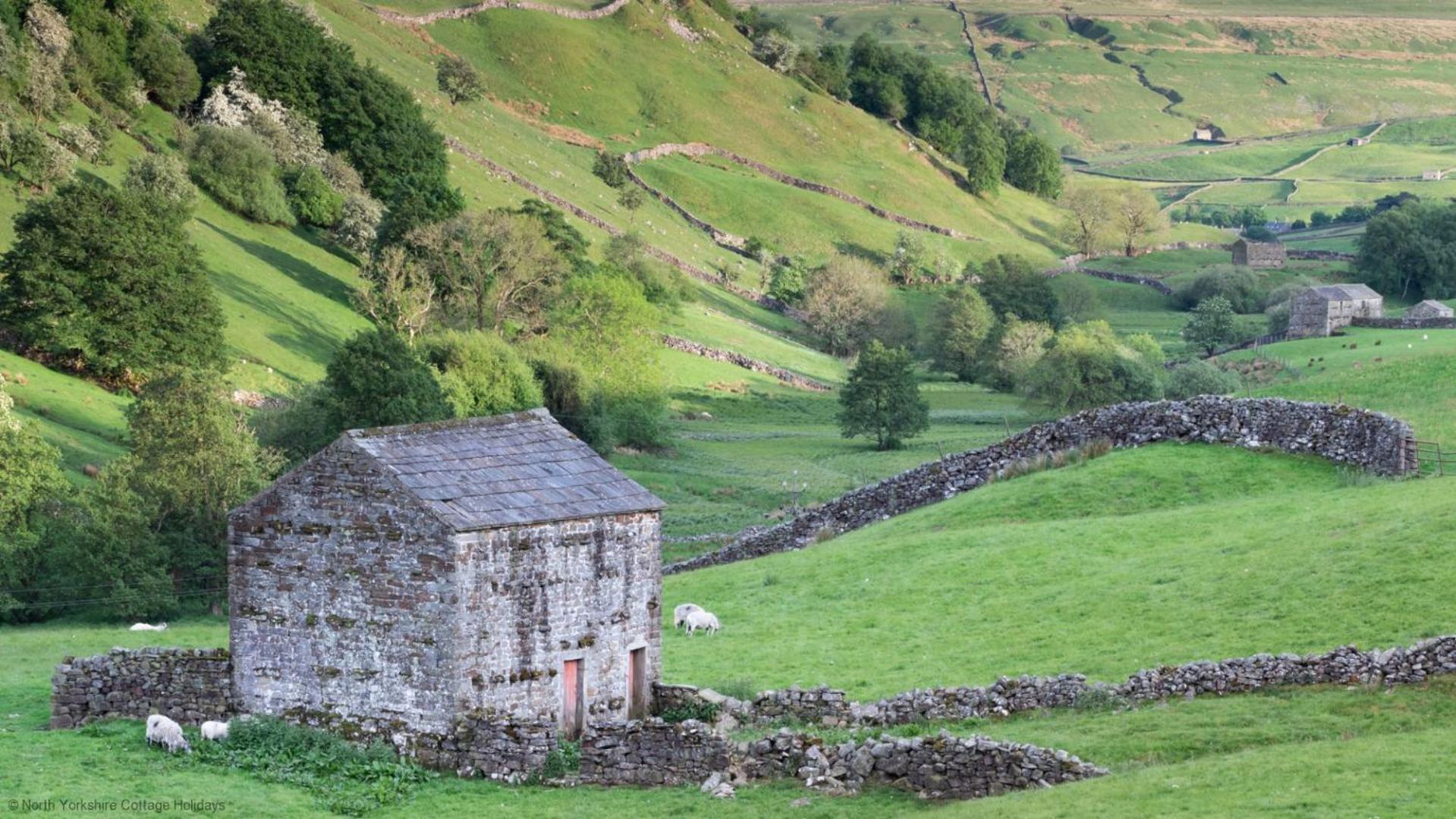 Stone Cottage In Picturesque North Yorkshire Village - Bull Dog Cottage Ampleforth Exterior photo